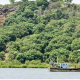 indsamachar