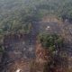 Amazon burning: Brazil President tells rest of world not to interfere