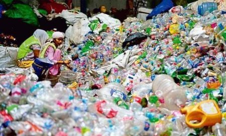 Single-use plastic bags, cups, plates may be banned from October 2: Report