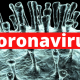 Coronavirus pandemic | Bhilwara model of ‘ruthless containment’ is extremely effective – here is how
