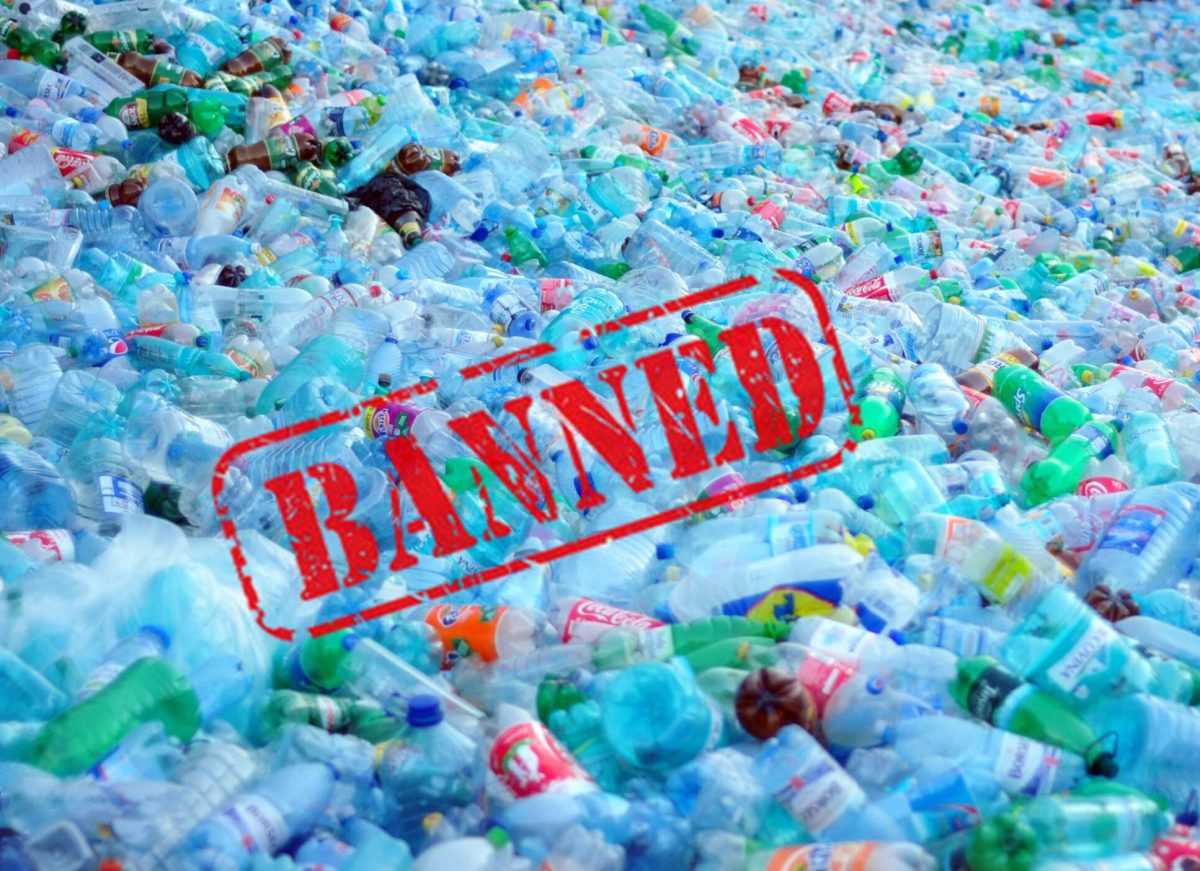 Ban on Single Use Plastic comes into force in the country from today ...